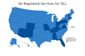 no regulated services for dll