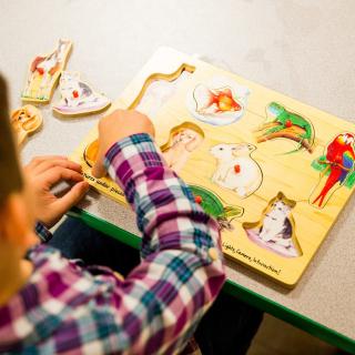 overhead shot of a child playing with an animal-themed puzzle
