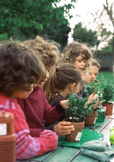 children learning about plants