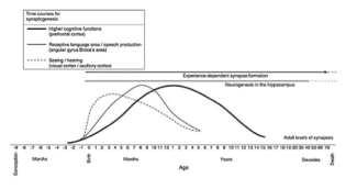 synaptic change figure