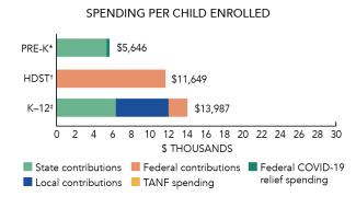 Georgia spending