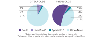 2025_georgia_pie_150dpi